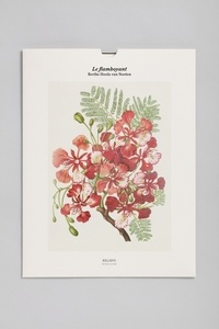 Berthe Hoola van Nooten - Flamboyant - Une illustration imprimée sur un papier de création avec 1 livet autour de l'oeuvre.