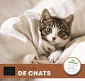 Jean-Paul Viart - Amour de chats - Avec en cadeau un cadre et une magnifique photo.
