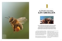 Le Grand Livre des Abeilles