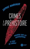 Sophie Marvaud - Crimes préhistoriques - Meurtre chez les Magdaléniens ; Le choc de Carnac.