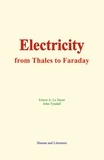 Ernest A. le Sueur et John Tyndall - Electricity : from Thales to Faraday.