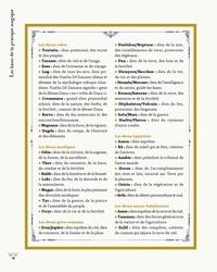 Traité des usages & savoirs de sorcière. Rituels - Célébrations - Sortilèges - Cristaux - Plantes - Divination - Pratiques magiques