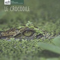 Léa Schneider - Le crocodile.