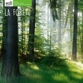 Christina Dorner - La forêt.