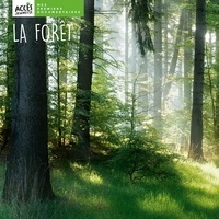 Christina Dorner - La forêt.