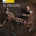 Jean-Pierre Rémond - Les dinosaures.