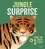  Kimane - Jungle surprise.