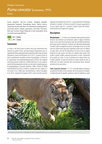 Atlas des mammifères sauvages de France. Volume 3, Carnivores et Primates