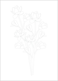 Compositions florales. 20 cartes à peindre ou à colorier,
