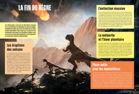Les dinosaures. Mille et un docs Inclus : un poster recto verso !