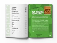 La bible du foot. Tout savoir sur le sport préféré des Français !