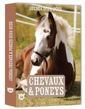  Editions 365 - Agenda scolaire Chevaux & poneys.