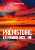 Stéphane Montal - Préhistoire, la grande Histoire.