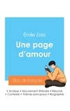 Emile Zola - Réussir son Bac de français 2024 : Analyse du roman Une page d'amour d'Émile Zola.