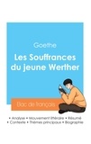  Goethe - Réussir son Bac de français 2024 : Analyse des Souffrances du jeune Werther de Goethe.