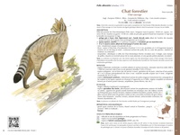 Faune forestière française, Guide écologique illustré. Tome 1, Mammifères, Oiseaux, Reptiles, Amphibiens