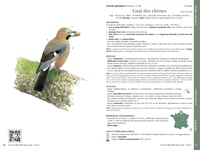 Faune forestière française, Guide écologique illustré. Tome 1, Mammifères, Oiseaux, Reptiles, Amphibiens