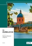 Mathias-Muhend Lefgoum - La déambulation.