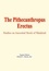 E. Dubois et O. C. Marsh - The Pithecanthropus Erectus - Studies on Ancestral Stock of Mankind.