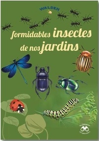 Martine Baurain et Jean-Marc Dubray - Formidables insectes de nos jardins.
