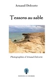Arnaud Delcorte - Tessons au sable.