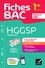 Franck Rimbert et Cécile Gaillard - Fiches bac HGGSP 1re générale (spécialité) - tout le programme en fiches de révision détachables.