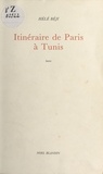 Hélé Béji - Itinéraire de Paris à Tunis : Satire.