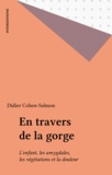 Didier Cohen-Salmon - En Travers De La Gorge. L'Enfant, Les Amygdales, Les Vegetations Et La Douleur.