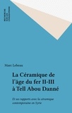 Marc Lebeau - La Céramique de l'âge du fer II-III à Tell Abou Danné - Et ses rapports avec la céramique contemporaine en Syrie.