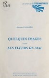 Antoine Fongaro - Quelques images dans Les Fleurs du mal.