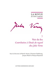 Patrick Avrane et Christian Chelebourg - Voir du feu - Contribution à l'étude du regard chez Jules Verne.