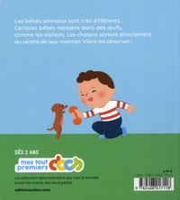 Les bébés animaux