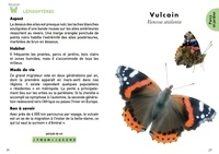 Le petit guide des insectes. 70 espèces à découvrir