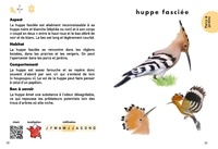 Des oiseaux dans mon jardin. Le petit guide des oiseaux + La mangeoire en bois