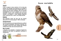 Des oiseaux dans mon jardin. Le petit guide des oiseaux + La mangeoire en bois