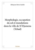 Saïnbé mbayam Boris - Morphologie, occupation du sol et inondations dans la ville de n'djamena (tchad).