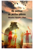 Nicolas Vanden Plas - Un million de petites pièces.