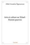 Nganansou allafi Amadou - Arts et culture au tchad : parents pauvres.