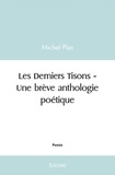 Michel Plas - Les derniers tisons - une brève anthologie poétique.