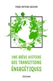 Pierre Antoine Grislain - Une brève histoire des transitions énergétiques.
