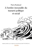 Pierre Roubaud - à l'ombre inexorable du tsunami politique et social.