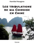 Hannibal Hexagone - Les tribulations de ma Chinoise en Chine.