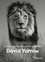 David Yarrow - David Yarrow - Une vision de la photographie.