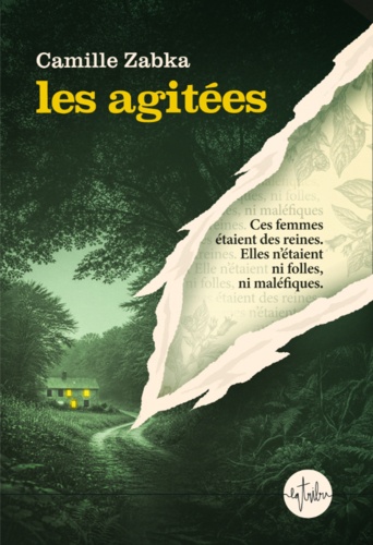 Vers le roman les agitées de camille Zabka