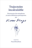 Pascal Bonafoux - Trajectoire incalculable.
