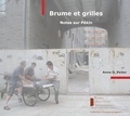 Anne D. Peiter - Brume et grilles - Notes sur Pékin.
