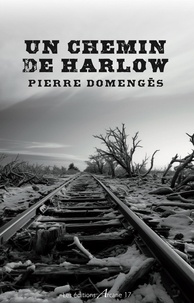 Pierre Domengès - Un chemin de Harlow.