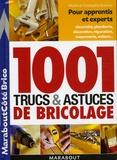 Michel Branchu et Christophe Branchu - 1001 trucs et astuces du bricolage.