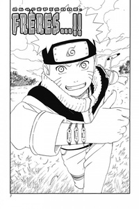 Naruto Tome 29