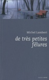 Michel Lambert - De très petites fêlures.